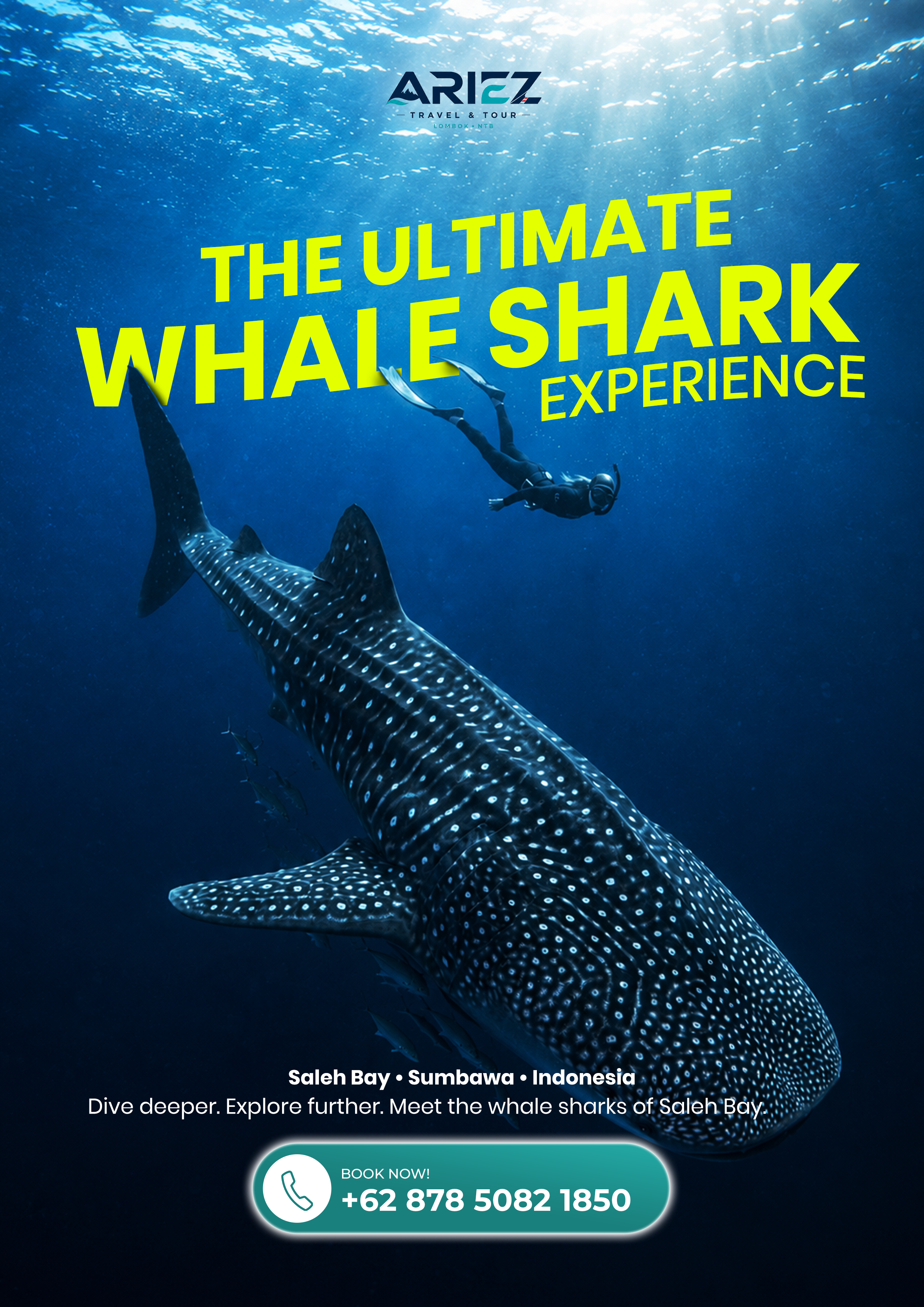 WHALE SHARK EXPERIENCE